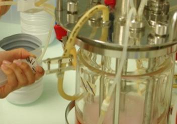 BioProcess Center Bordeaux , l'expertise en bioproduction